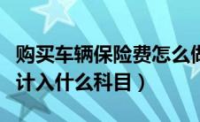 购买车辆保险费怎么做分录（购买车辆保险费计入什么科目）