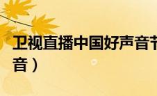 卫视直播中国好声音节目（卫视直播中国好声音）