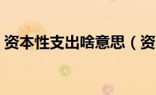 资本性支出啥意思（资本性支出是什么意思）