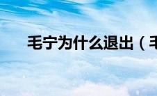 毛宁为什么退出（毛宁为什么被封杀）