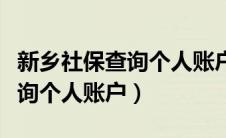 新乡社保查询个人账户查询官网（新乡社保查询个人账户）