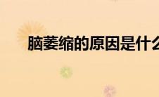 脑萎缩的原因是什么（脑萎缩的原因）