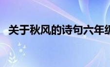 关于秋风的诗句六年级（关于秋风的诗句）