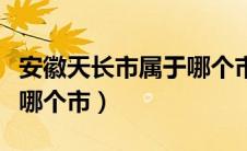 安徽天长市属于哪个市地图（安徽天长市属于哪个市）