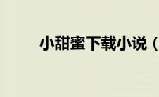 小甜蜜下载小说（小甜蜜txt下载）