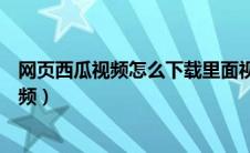 网页西瓜视频怎么下载里面视频（怎样下载西瓜视频里的视频）