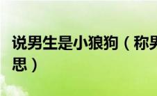 说男生是小狼狗（称男朋友是小狼狗是什么意思）