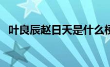 叶良辰赵日天是什么梗（赵日天是什么梗）