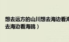 想去远方的山川想去海边看海鸥的说说（想去远方的山川想去海边看海鸥）