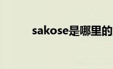 sakose是哪里的牌子（sakose）