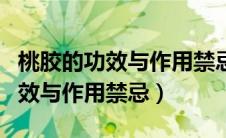 桃胶的功效与作用禁忌桃胶怎么吃（桃胶的功效与作用禁忌）