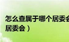 怎么查属于哪个居委会上海（怎么查属于哪个居委会）