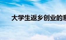大学生返乡创业的意义（创业的意义）