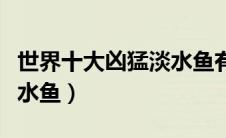 世界十大凶猛淡水鱼有哪些（世界十大凶猛淡水鱼）