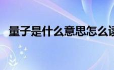 量子是什么意思怎么读（量子是什么意思）