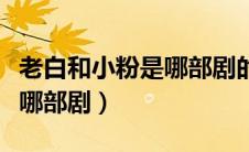 老白和小粉是哪部剧的英文名（老白和小粉是哪部剧）
