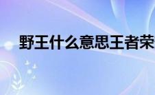 野王什么意思王者荣耀（野王什么意思）
