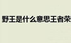 野王是什么意思王者荣耀（野王是什么意思）