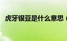 虎牙银豆是什么意思（虎牙银豆有什么用）