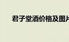 君子堂酒价格及图片（君子堂文学网）