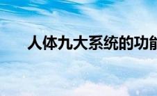 人体九大系统的功能（人体九大系统）