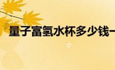 量子富氢水杯多少钱一个（量子富氢水杯）