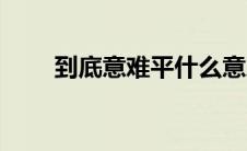 到底意难平什么意思（到底意难平）