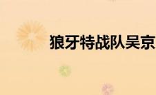 狼牙特战队吴京（狼牙特战队）