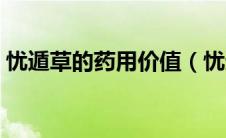忧遁草的药用价值（忧遁草抗癌谎言的背后）
