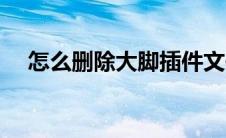 怎么删除大脚插件文件（怎么删除大脚）