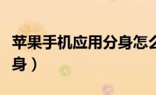 苹果手机应用分身怎么关闭（苹果手机应用分身）