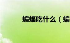 蝙蝠吃什么（蝙蝠吃什么食物）