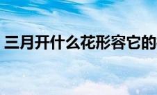三月开什么花形容它的样子（三月开什么花）