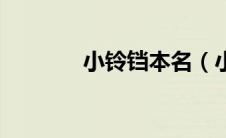 小铃铛本名（小铃铛的真名）