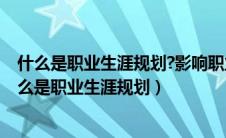 什么是职业生涯规划?影响职业生涯发展的因素有哪些?（什么是职业生涯规划）