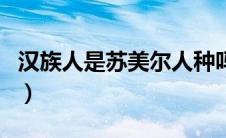 汉族人是苏美尔人种吗（苏美尔人与汉族基因）