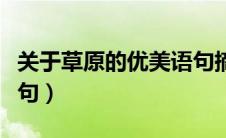 关于草原的优美语句摘抄（关于草原的优美语句）