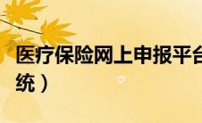 医疗保险网上申报平台（医疗保险网上申报系统）