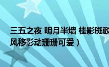 三五之夜 明月半墙 桂影斑驳（三五之夜明月半墙桂影斑驳风移影动珊珊可爱）