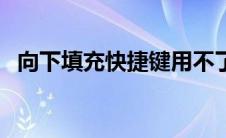 向下填充快捷键用不了（向下填充快捷键）