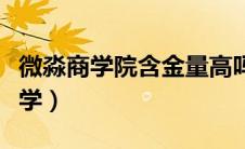 微淼商学院含金量高吗（微淼商学院值不值得学）