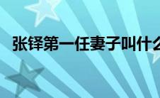 张铎第一任妻子叫什么（张铎第一任妻子）