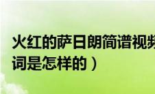 火红的萨日朗简谱视频（火红的萨日朗简谱歌词是怎样的）
