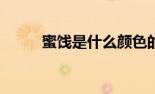 蜜饯是什么颜色的（蜜饯是什么）
