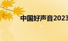 中国好声音2023（中国好生硬）