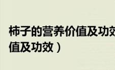 柿子的营养价值及功效是什么（柿子的营养价值及功效）