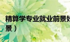 精算学专业就业前景好吗（精算学专业就业前景）