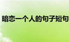 暗恋一个人的句子短句（暗恋一个人的句子）
