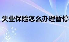 失业保险怎么办理暂停（失业保险怎么办理）