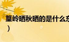 篁岭晒秋晒的是什么东西（篁岭晒秋最佳时间）